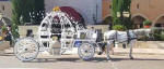 Another Cinderella coach and horse from cyprus-wedding.com