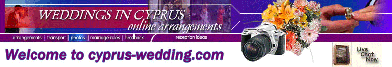 cyprus wedding with online arrangements