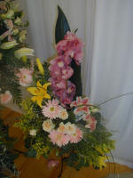 Orchids fit for a wedding