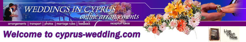 cyprus wedding online arrangements