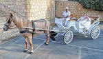 Horse and buggy for your wedding in Cyprus