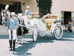 Cyprus weddings carriages to hire a dream for a day, a memory for a lifetime
