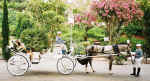 Cyprus weddings carriages with footmen - decorated for a marriage to remember