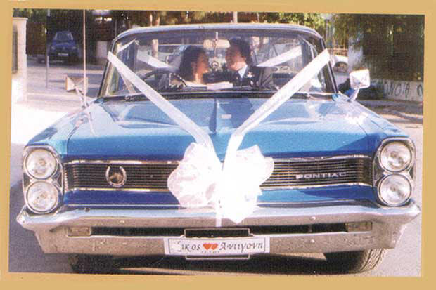 outdoor wedding pontiac