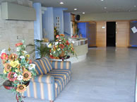 Paralimni Town hall registry office for a wedding in Cyprus - some flowers on display